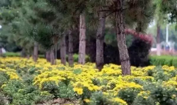 临夏最值得去的地方,来临夏必须去的景点