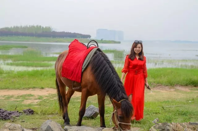 美丽的郑州北龙湖湿地公园,郑州北龙湖湿地公园初冬游记
