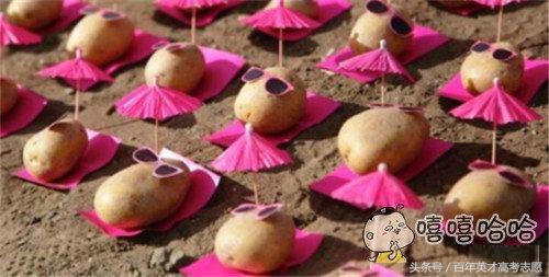 中国已有五所美食大学,一所比一所奇葩,知道3所的算你厉害!