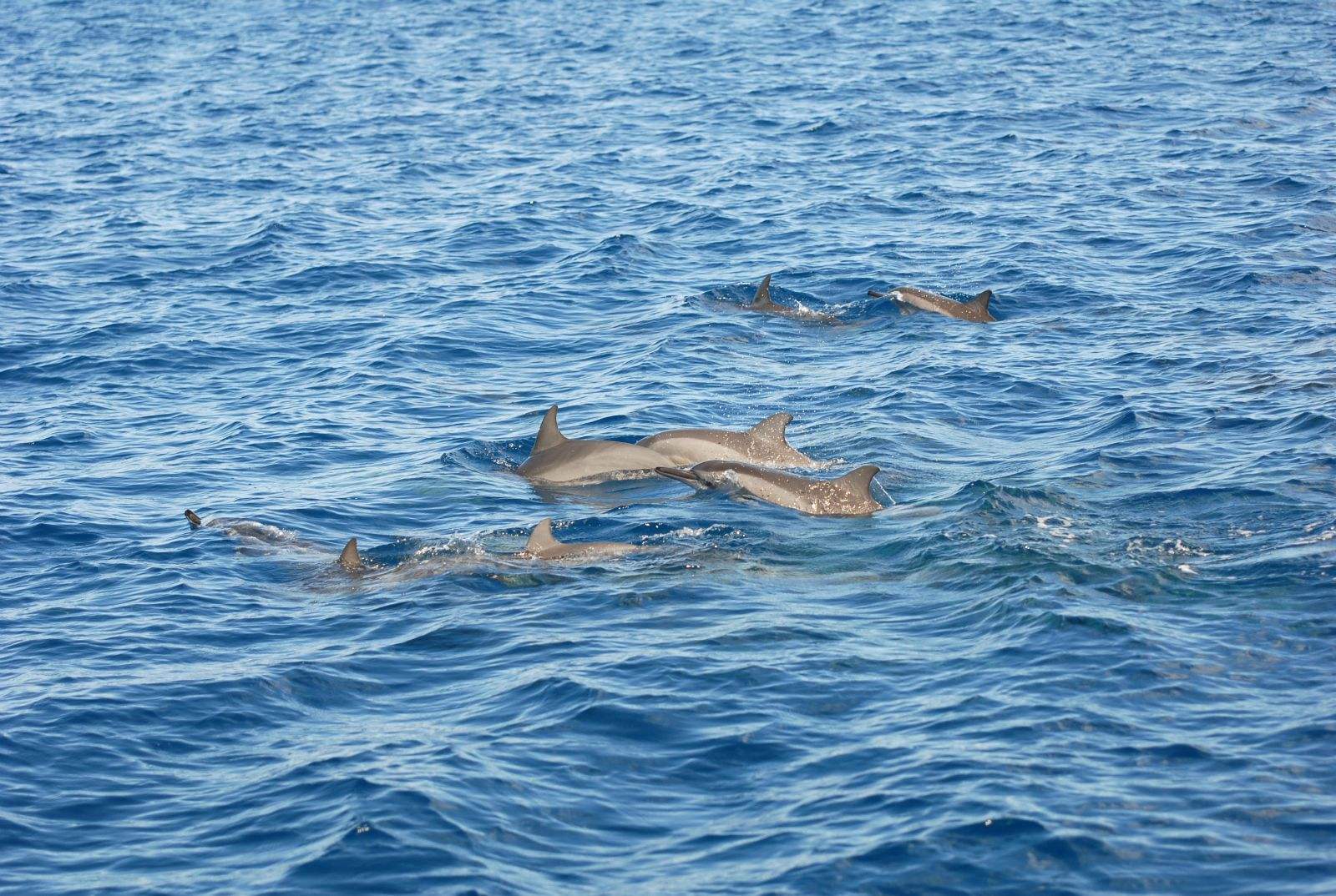 毛里求斯马尔代夫旅游,马尔代夫景区哪个值得去