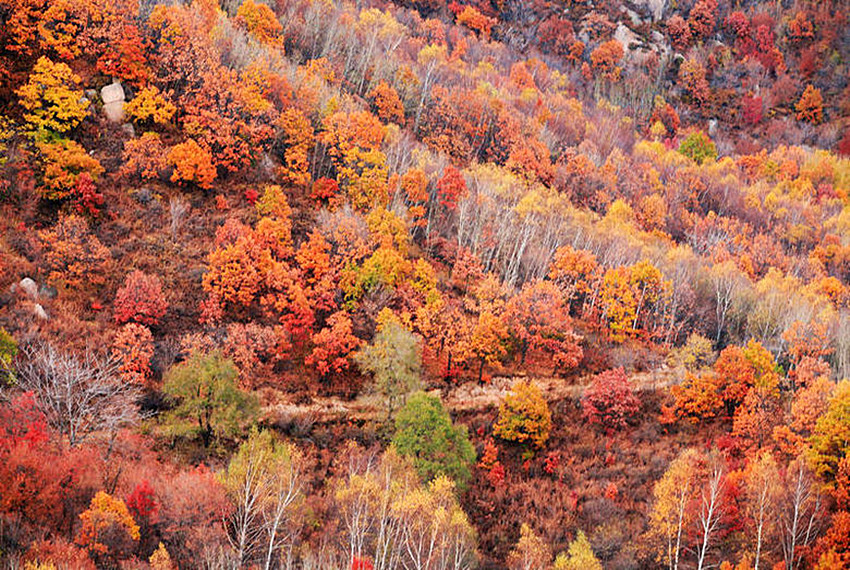 喇嘛沟景区游览攻略,北京喇叭沟旅游攻略
