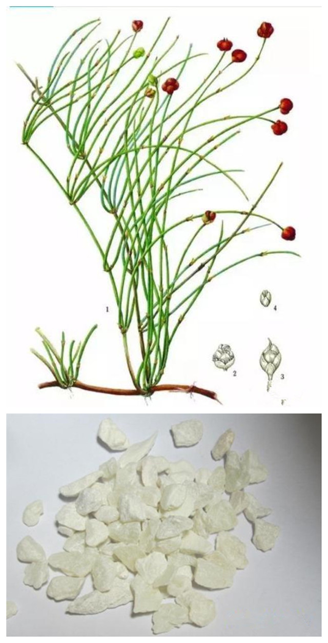 表邪化热传肺，汗出而喘，可以选用麻杏石膏汤