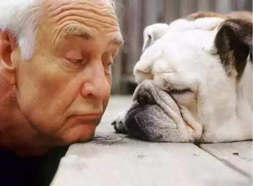 这个蛰伏十年的万亿级行业,一个可持续繁荣的行业