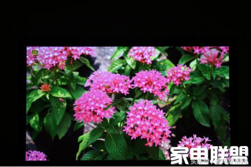 vsee播放器使用说明,vseeuh400蓝光播放机4k