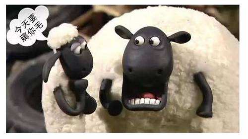 替跑是什么,替跑