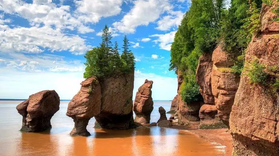 2018加拿大签证新政策是什么样的,2017加拿大签证攻略