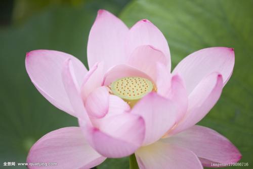 箭杆在外归外科箭头在内归内科原是笑谈若成真就