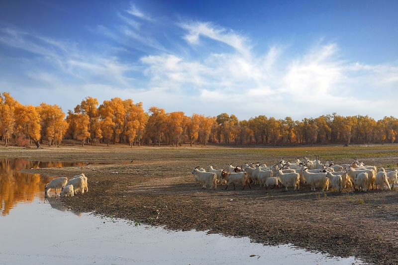 看旅游景点猜中国地名,看城市别称猜地名