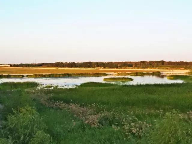 放生就是假慈悲,放生就是积德还是造孽