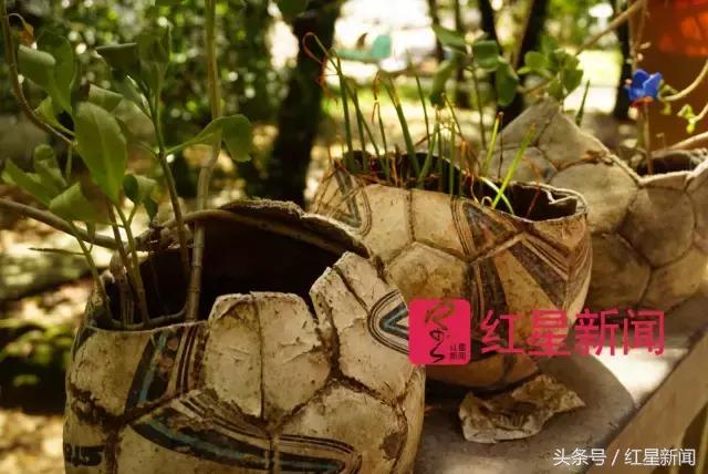 当教练、出国……琼中女足首批队员那些被足球改变了的人生