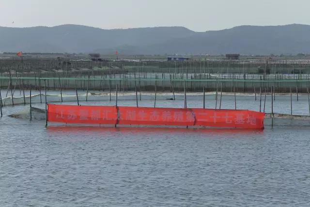 好蟹汇阳澄湖大闸蟹太和店,好蟹汇阳澄湖大闸蟹福州店