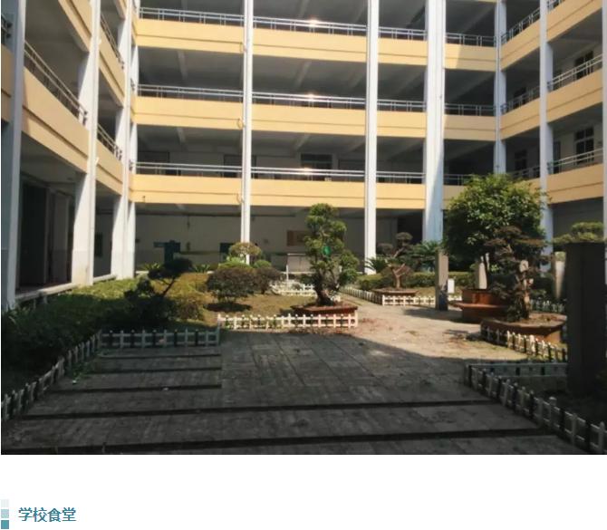 九江六中好不好,好久不见六月