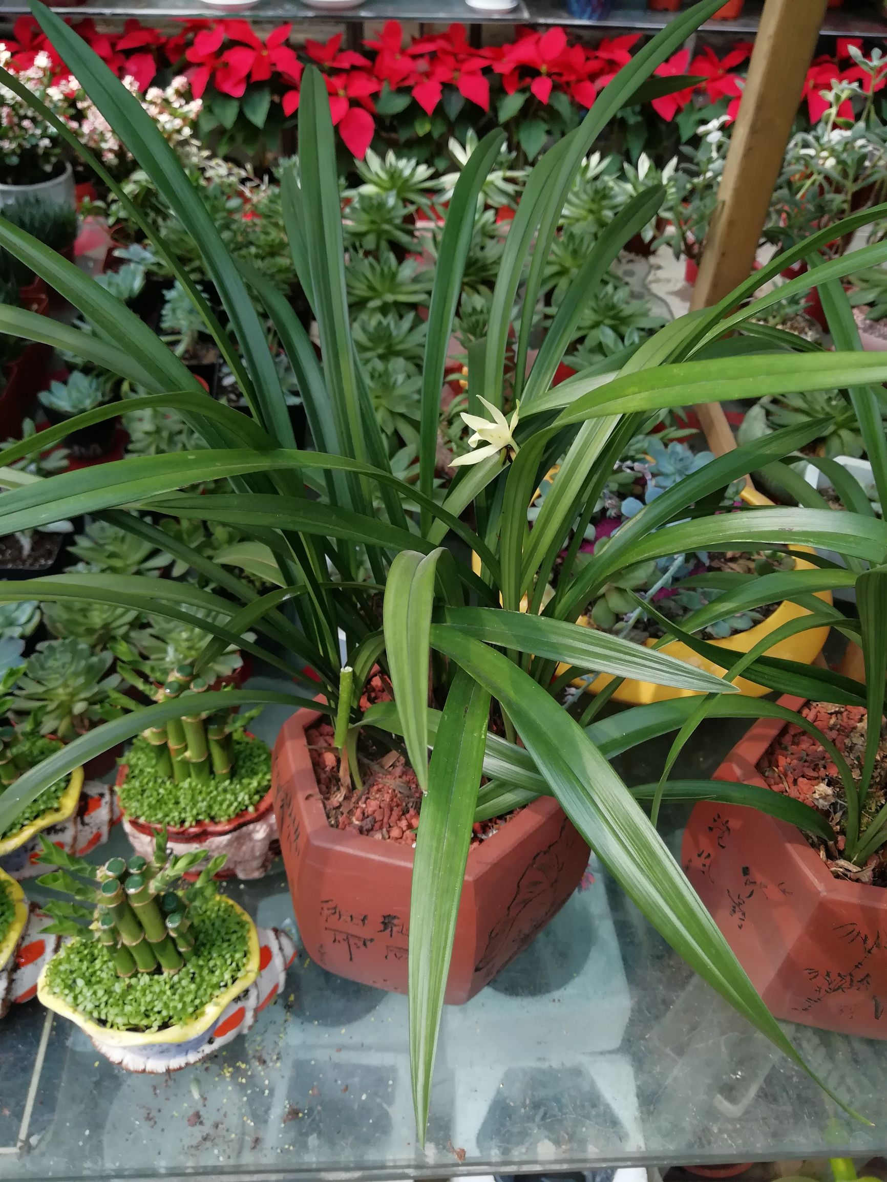 怎样享受生活才让自己活得有意义,怎样活在当下