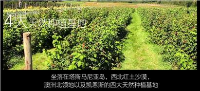 彩妆是阿玛尼的好还是迪奥的好,nars彩妆推荐