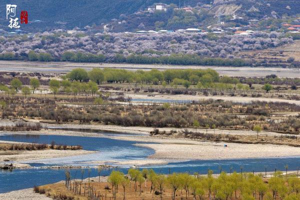 十一假期旅游推荐！大学生组团旅游最强攻略