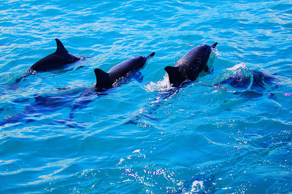 毛里求斯有什么值得去,国庆毛里求斯