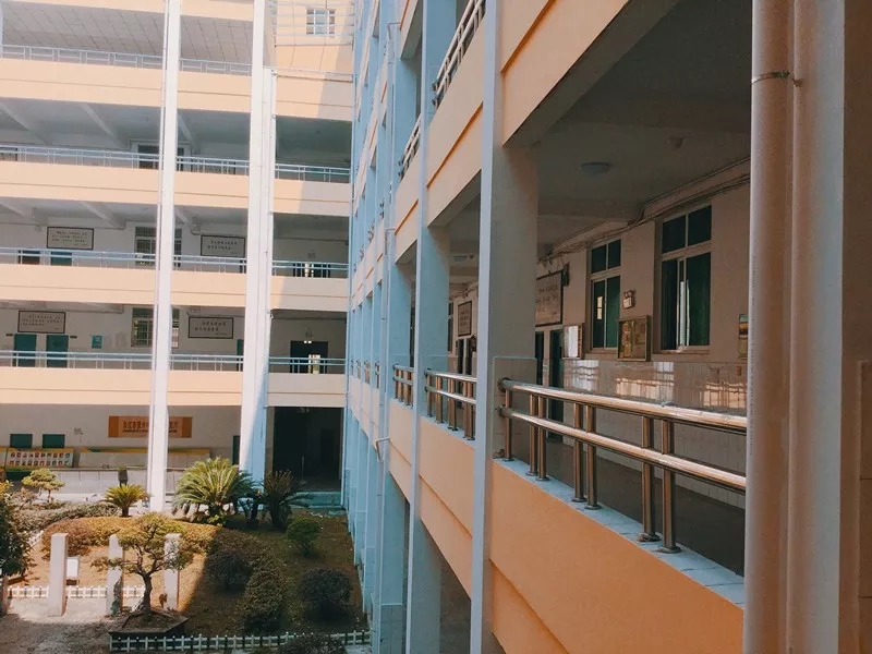 九江六中好不好,好久不见六月