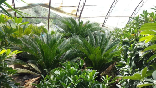 2020年小本创业项目无需开店,2015年不花钱的赚钱快的加盟项目