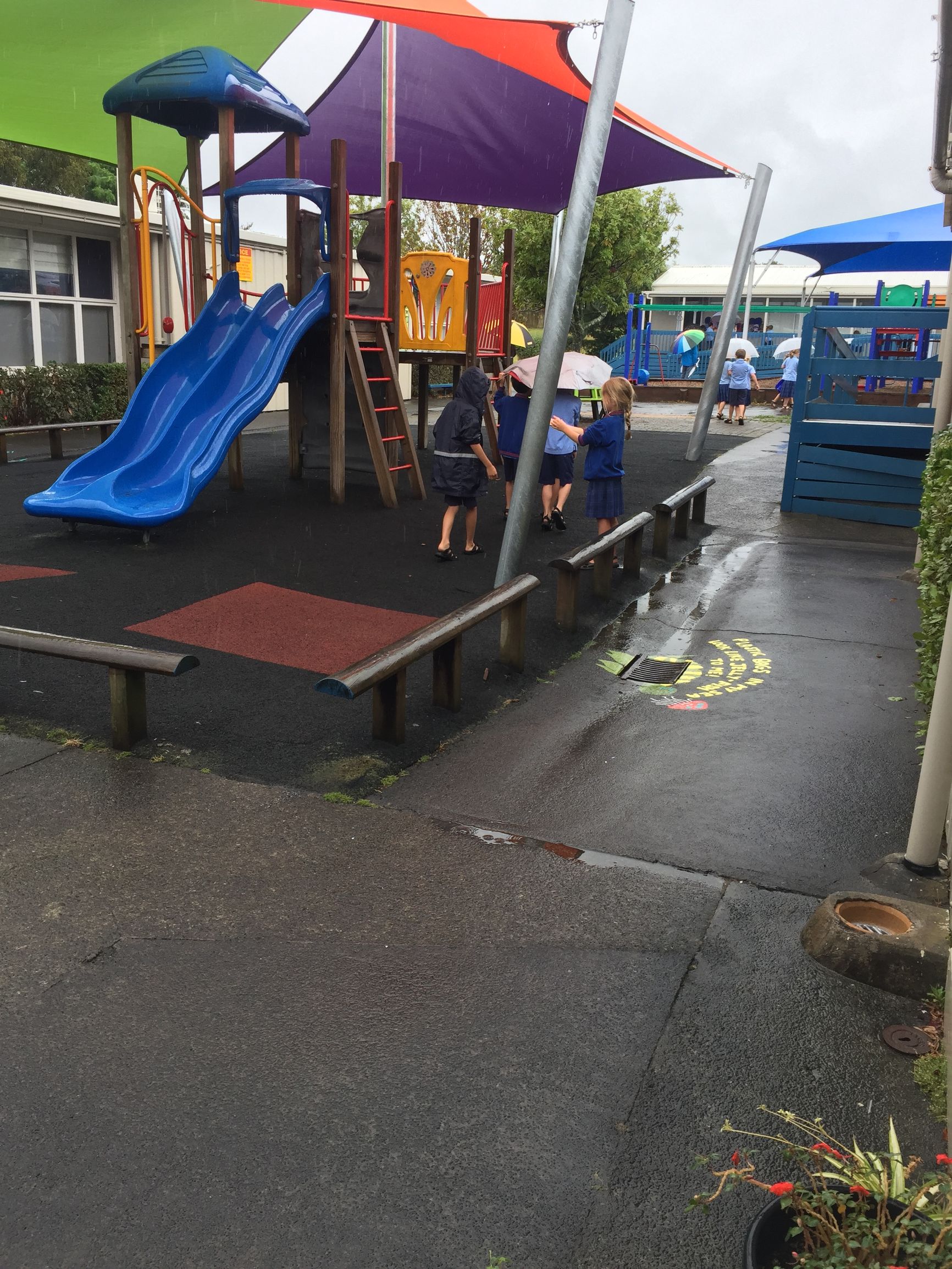 西方教育最重要的价值之阅读习惯的养成——我带儿子新西兰读小学