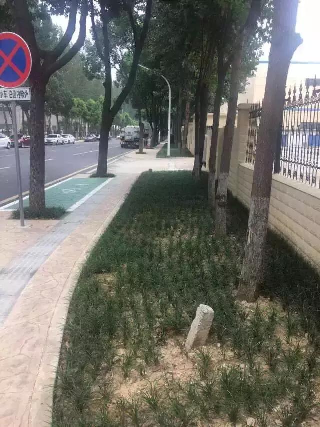 太阳能路灯自助洗车点,栖霞区迈皋桥自助洗车