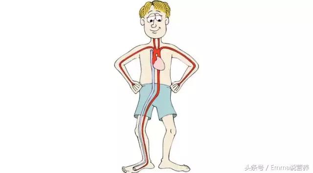 “卵磷脂”并非“然并卵”,它的好处你可知道?