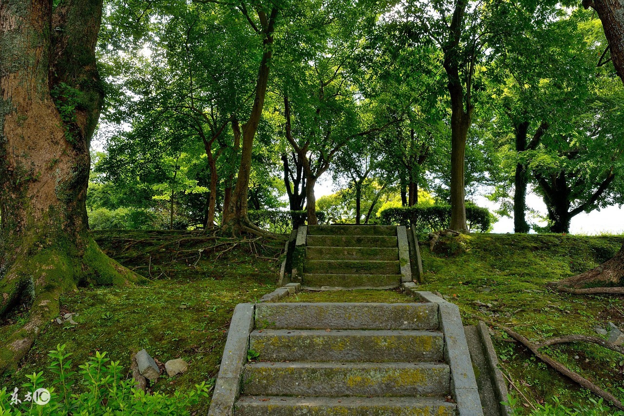 兰州兰山公园游乐,让我带你游山玩水作文