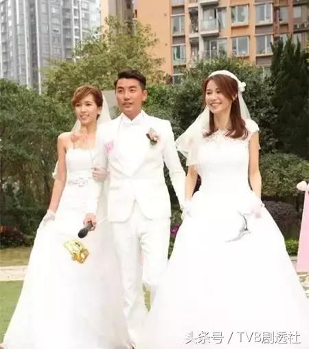 他被称为TVB的女人汤丸却在《使徒行者2》中一集就领盒饭