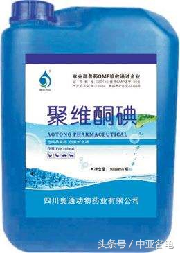 龟严重腐皮烂肉怎么治,龟腐皮对龟会致命吗