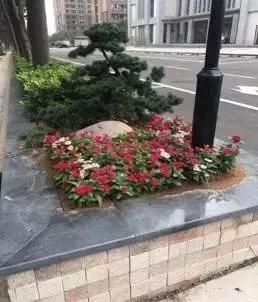 太阳能路灯自助洗车点,栖霞区迈皋桥自助洗车