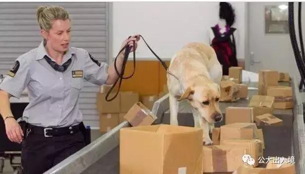 禁止出入境携带的中药材有哪些,各国出入境外币携带规定