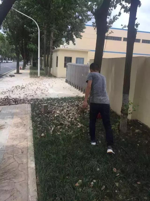 太阳能路灯自助洗车点,栖霞区迈皋桥自助洗车