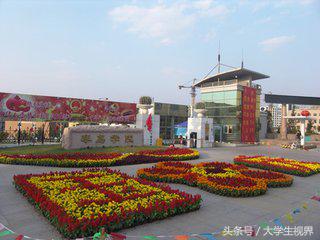 青岛城市学院在独立学院里排名,山东青岛公办专科大学最好