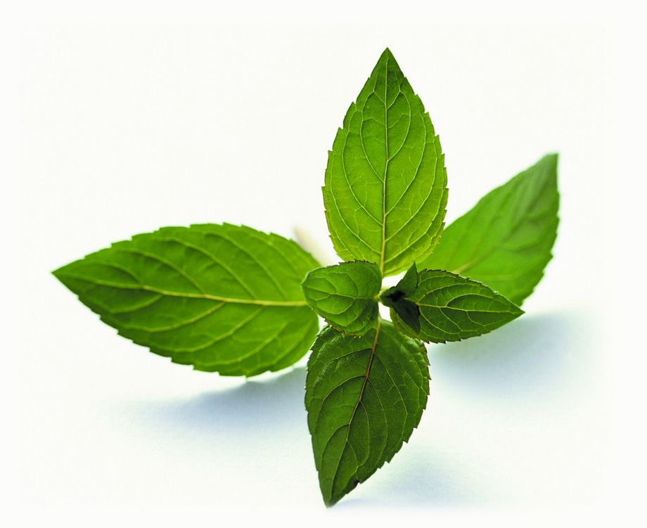 孕妈应该远离哪些物品,孕妈哪些香料不能吃