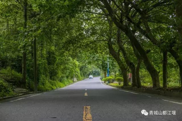 四川旅游一条很直的公路,四川唯一一条有路灯的高速公路