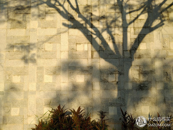 魅蓝note6有多好火,2019年魅蓝note6还够用吗