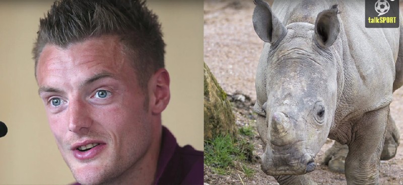 太像了！太像了！你喜欢的足球运动员像什么动物？