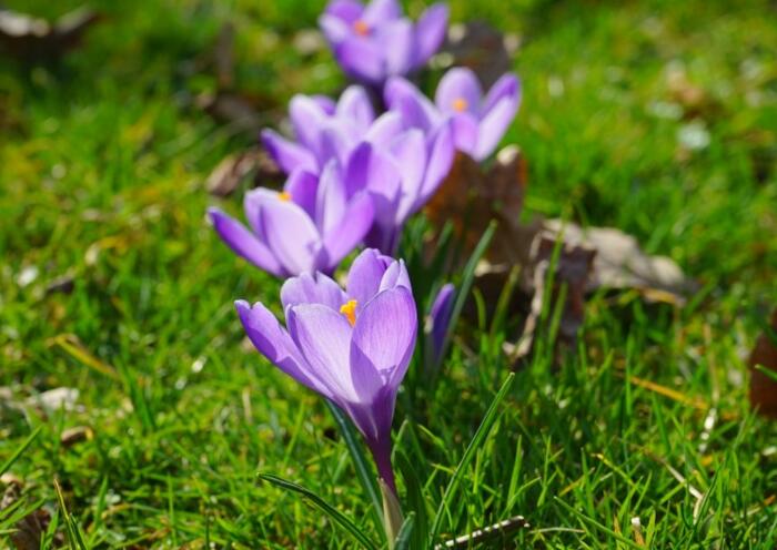 如何树立领导者的权威建议收藏,领导者的威信是如何树立的呢