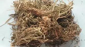 徐景藩治胃病方子,徐景藩治脾胃病案例