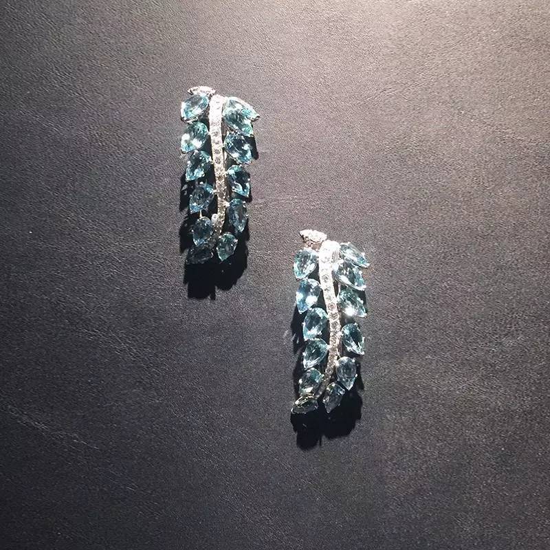 长知识升逼格｜来看看大蜥蜴国有多了不起