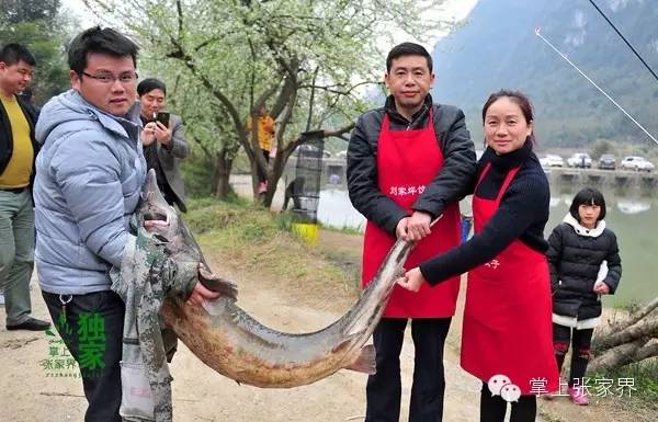 钓了8小时鱼塘老板哭了,黑坑老板被钓鱼人打崩溃