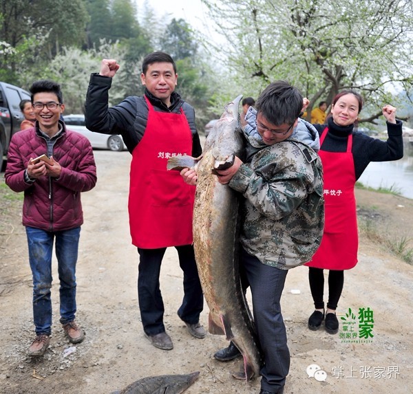 钓了8小时鱼塘老板哭了,黑坑老板被钓鱼人打崩溃