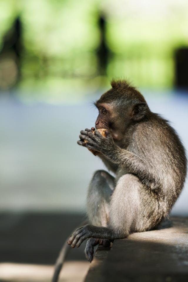 微单a6300评测,索尼微单a6300拍夜景怎么样