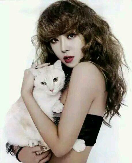 韩国公认10大整容美女名单,盘点韩国几位承认整容的女星