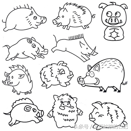 土豆姑娘的日记027-简笔画之森林里的动物朋友们3(蜗牛恐龙)