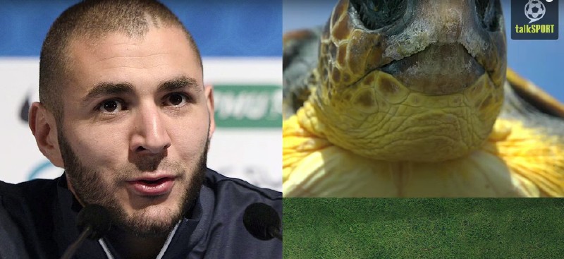太像了！太像了！你喜欢的足球运动员像什么动物？
