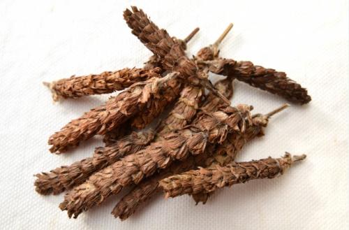 哪些中药能治疗心肌缺血,哪些中药能治疗肺炎