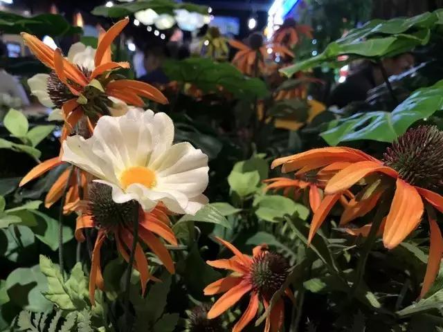 iPhone8全面评测，升级点有这几个此文章转自中关村在线