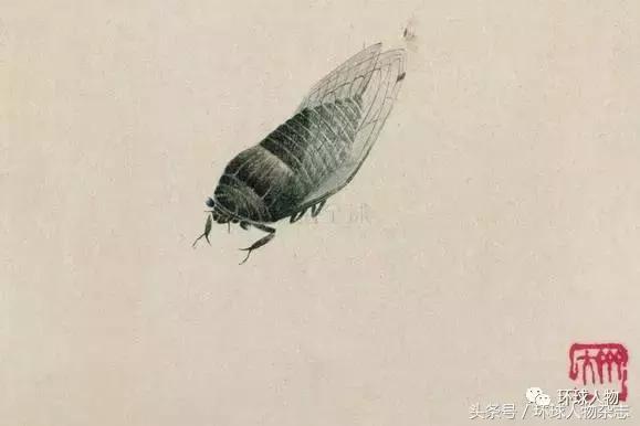 齐白石艺术传奇,齐白石的吝啬与慷慨阅读