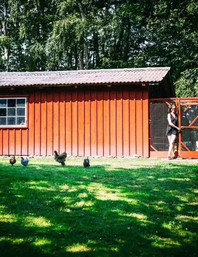 再老的房子也能焕然一新,破旧房子如何便宜装修