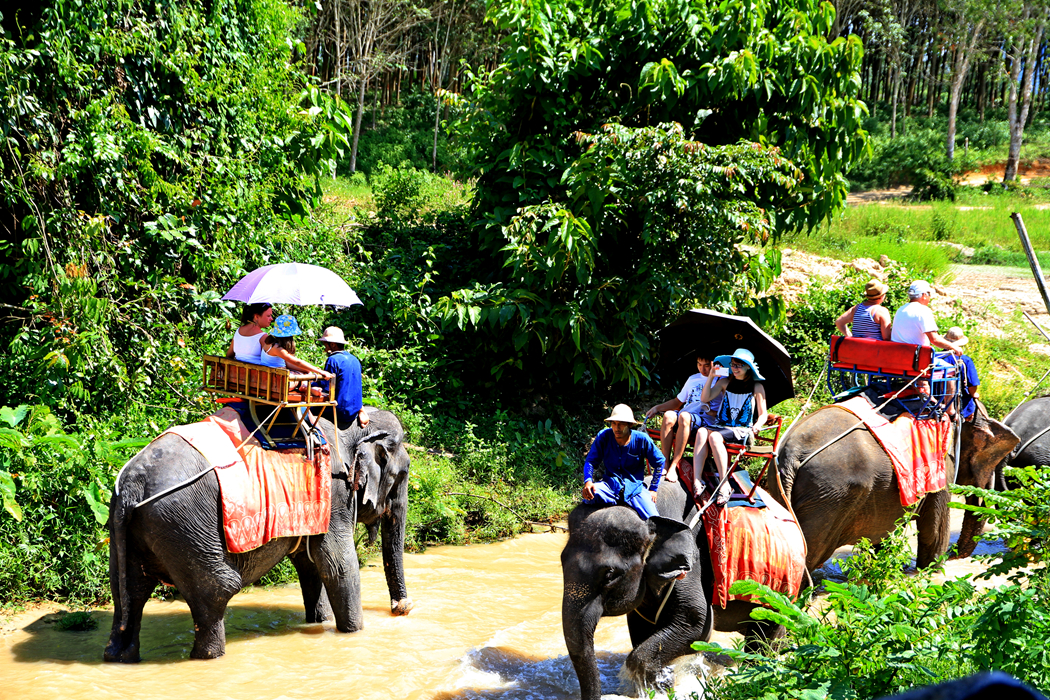 泰国旅游骗局亲身经历,泰国ibaby亲身经历